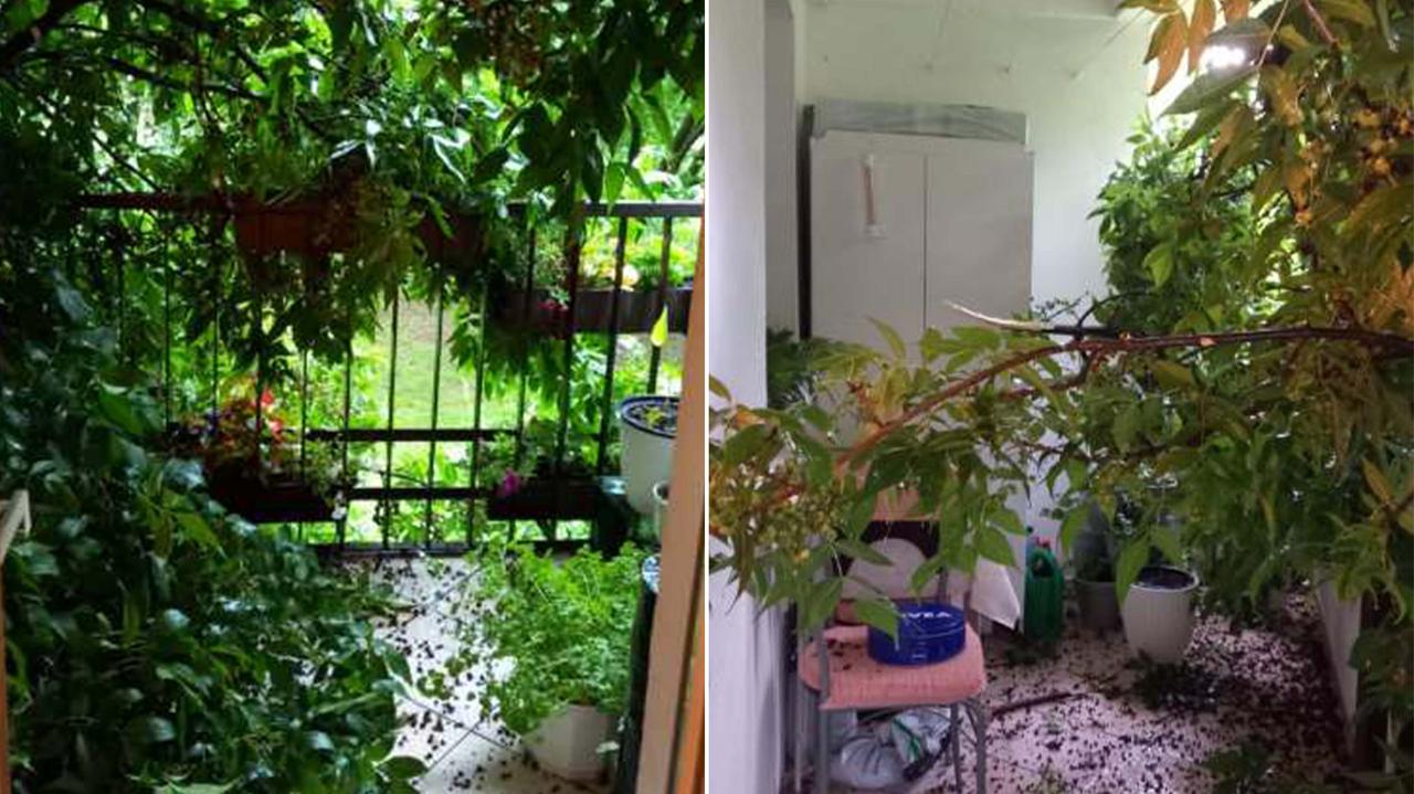 Nawałnica w Krakowie: 217 interwencji, drzewo runęło na balkon