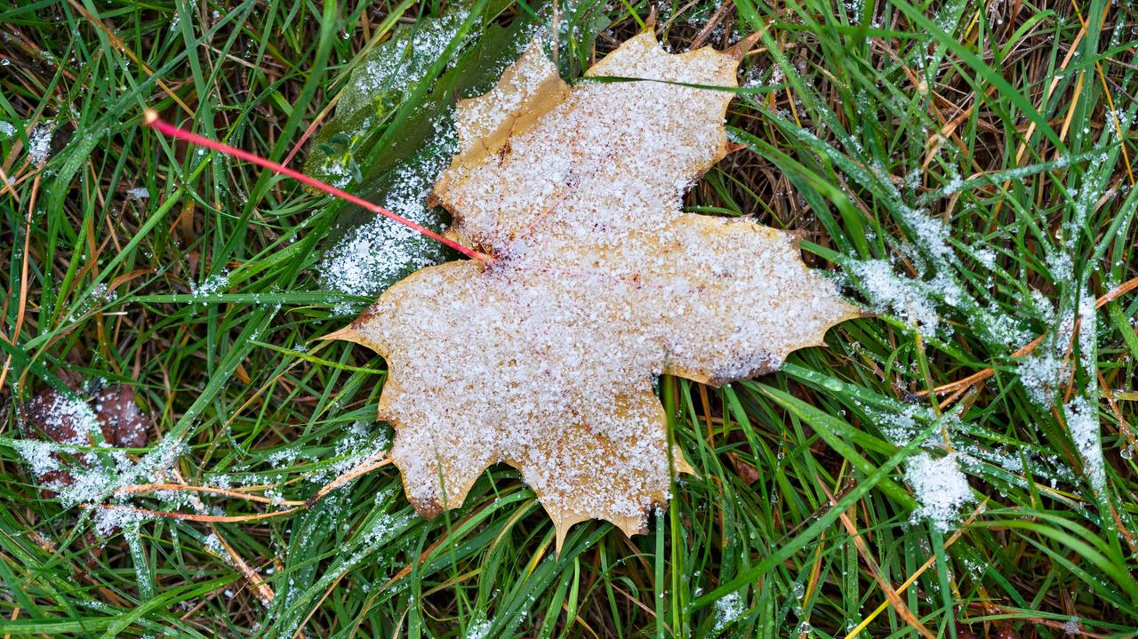Pogoda na dziś - sobota, 18.10. Lokalnie może spaść deszcz ze śniegiem