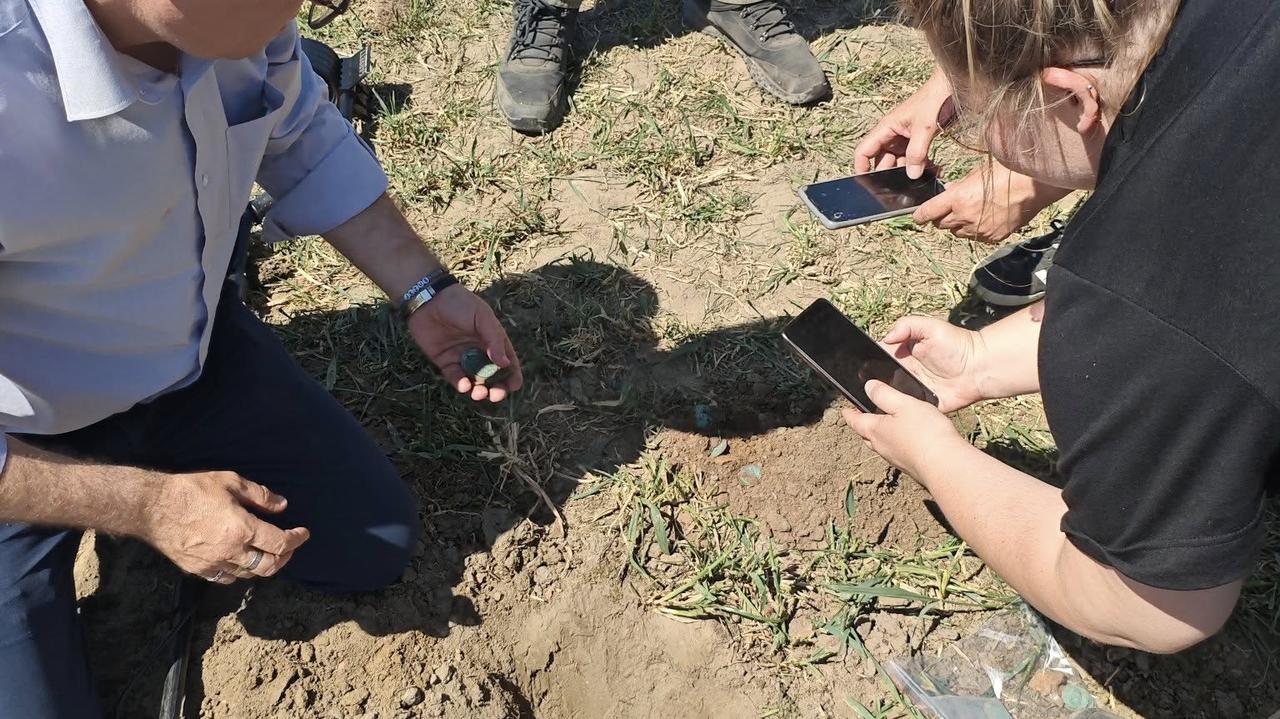 Chciał pozbierać kamienie, okazało się, iż to cenne monety