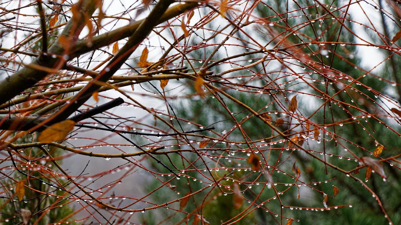 Pogoda na dziś - środa, 12.11. Sporo chmur na niebie, do 12 stopni