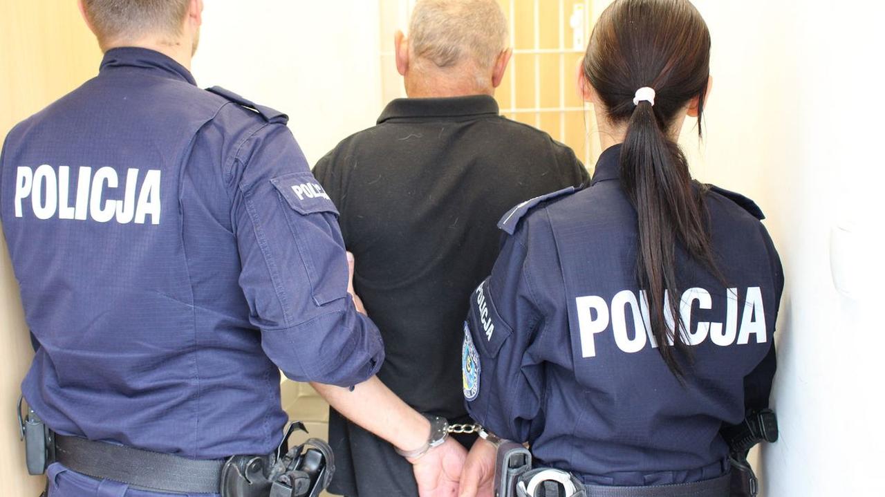 Znęcał się nad rodziną, policjantów zaatakował kotem