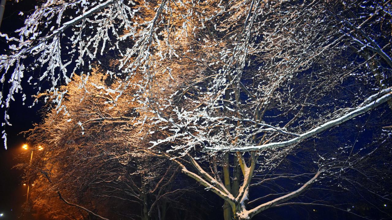 Pogoda na jutro - czwartek, 20.11. Nocą ściśnie mróz, możliwe oblodzenia