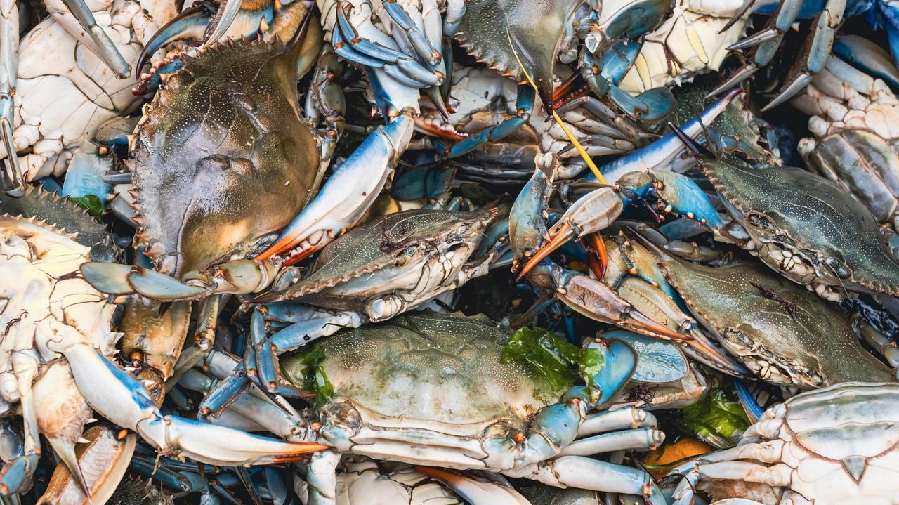 Import owoców morza wstrzymany. "Wyjątkowo karygodne"