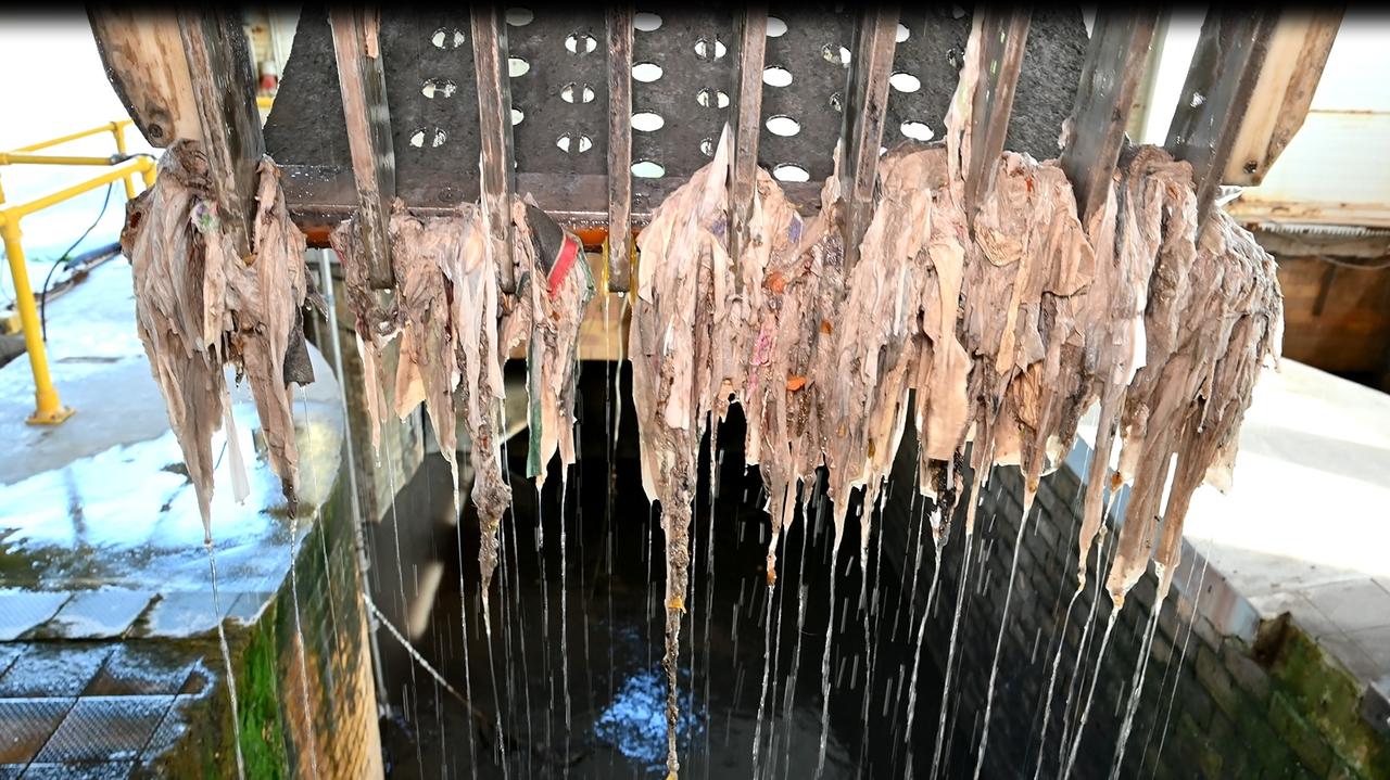 "Toaleta to nie śmietnik". Łódzkie wodociągi pokazały, co trafia do kanalizacji