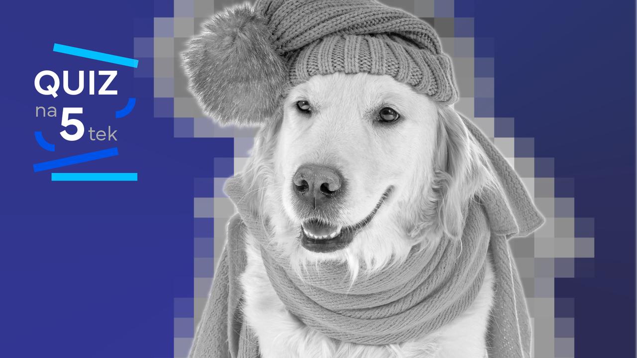 Grenlandię mamy w domu, a quiz na rozgrzewkę