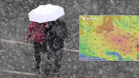 Prognozowana temperatura w kolejnych dniach