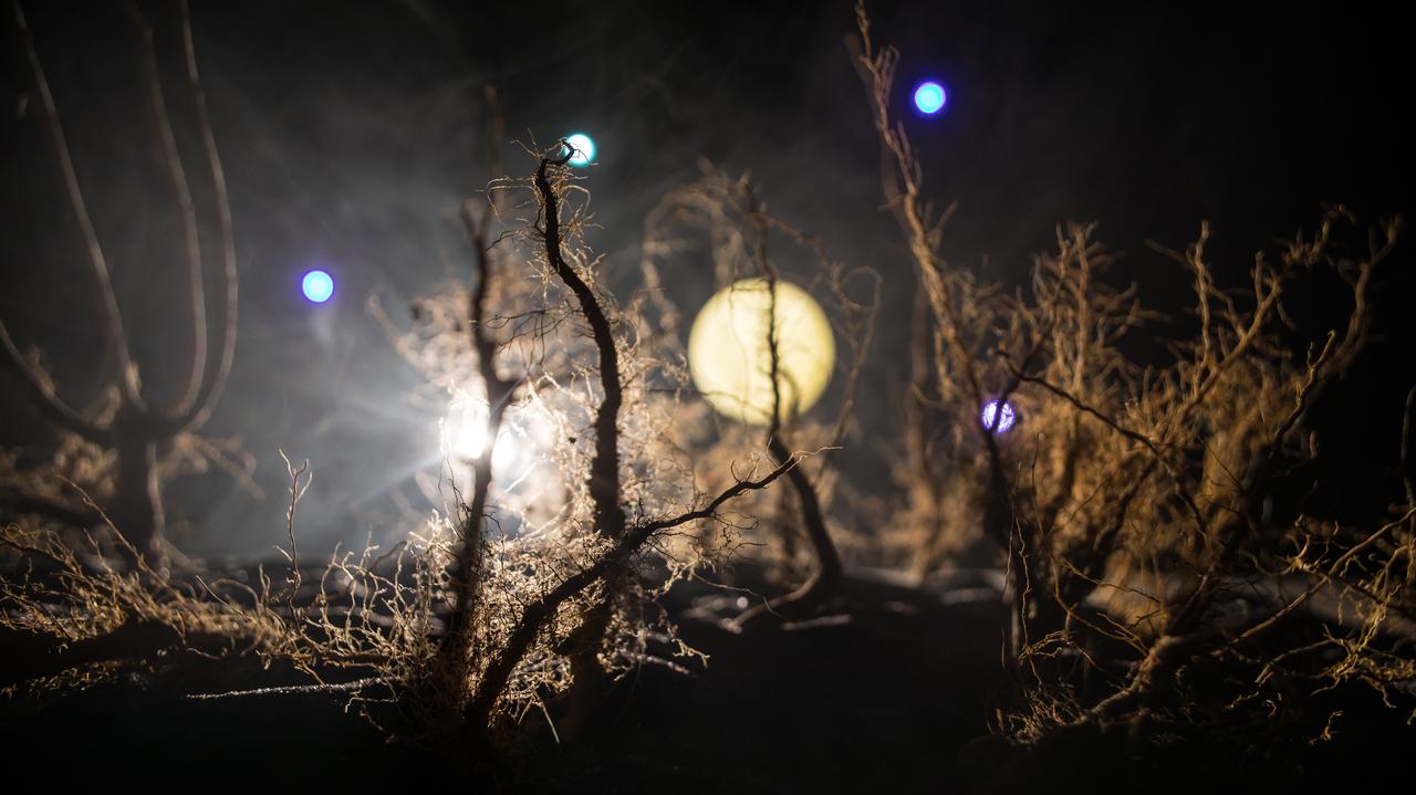 Błędne ogniki mogą skrywać sekret powstania życia