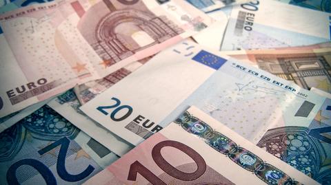 Alexander Stubb: euro będzie najsilniejszą walutą na świecie