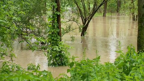 Rzeka Wisłoka wylała. Alert RCB: możliwe podtopienia i przerwy w dostawie prądu