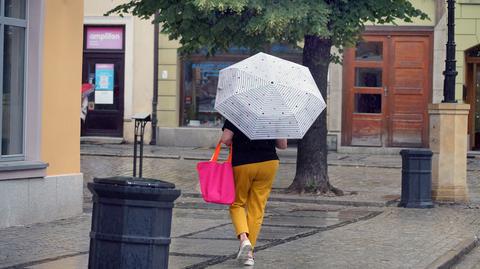 Prognozowana temperatura na kolejne dni