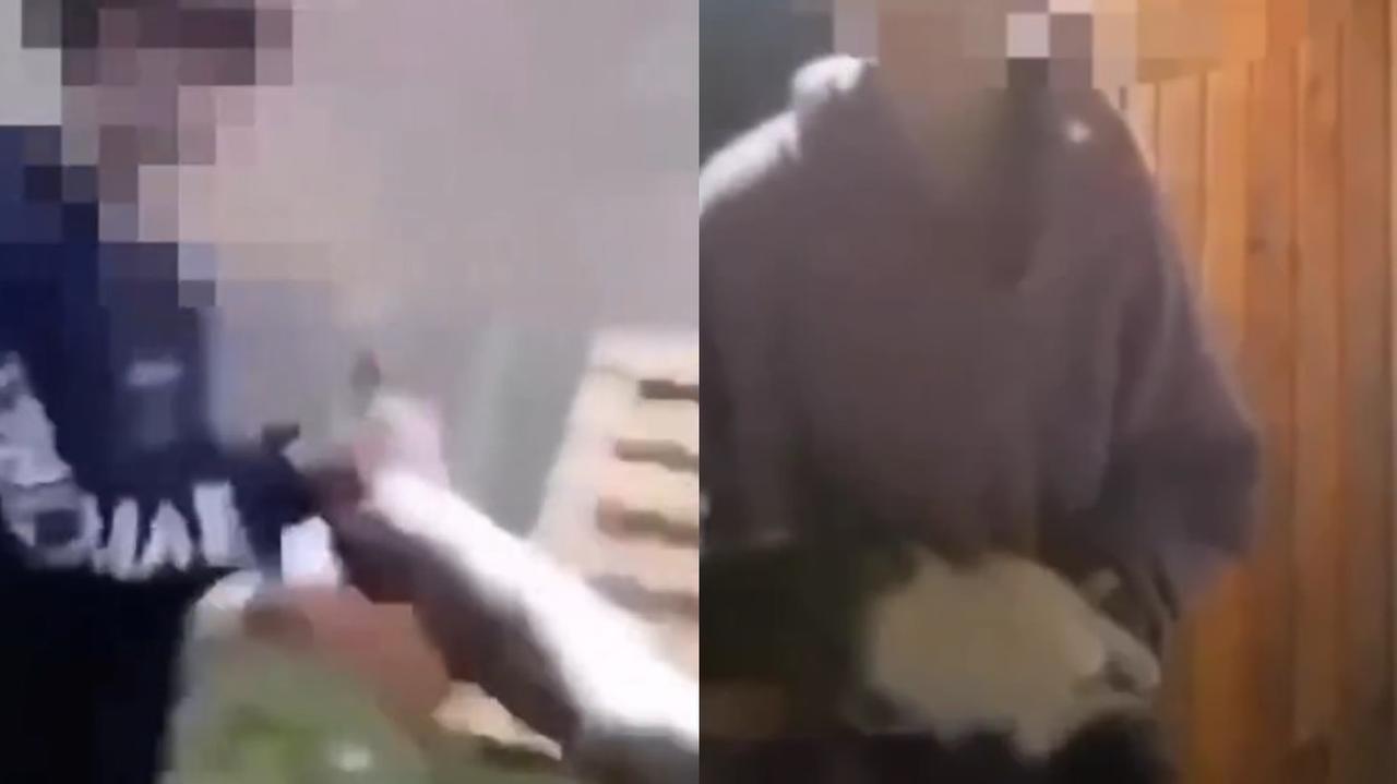 13-latek rzuca kotem, a jego kolega to nagrywa