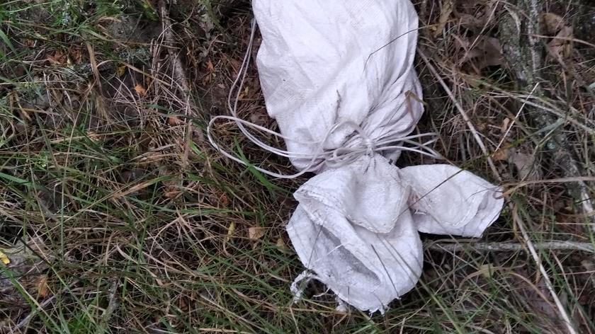 Tarnowa: szczeniaki w workach porzucone w lesie