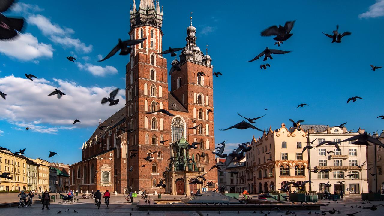 Skorpion wspinał się po murze kościoła Mariackiego