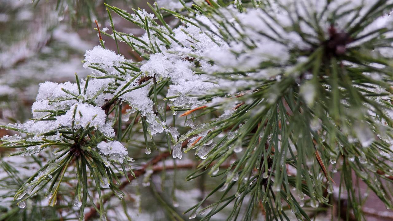 Pogoda na dziś - niedziela, 28.12. W części kraju będzie prószył śnieg