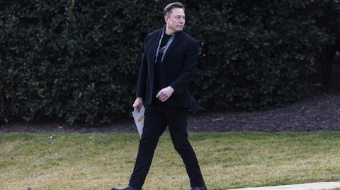 Elon Musk o DOGE na posiedzeniu gabinetu Donalda Trumpa