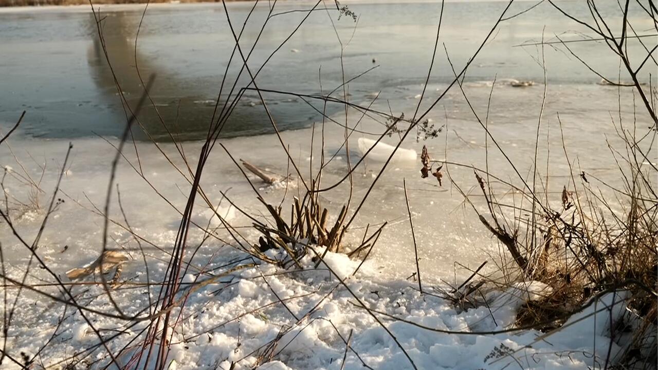 Weszła za psem na zamarzniętą rzekę, wpadła do wody