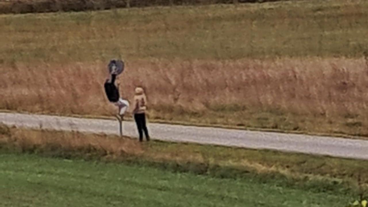 Znikają znaki drogowe, apel do mieszkańców