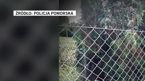 Policja Pomorska