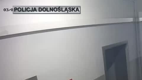 policja