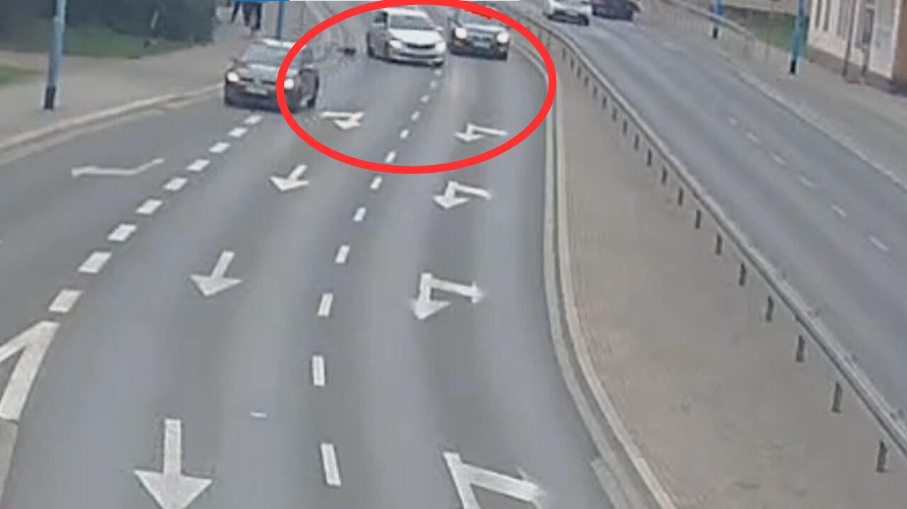 Pies wbiegł na jezdnię, wprost pod auto. Doszło do zderzenia. Nagranie