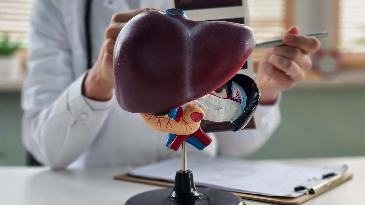 Pozwala wątrobie "żyć" poza ciałem. Czy to przyszłość transplantologii?