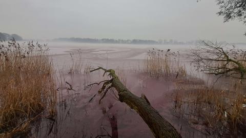 Do zdarzenia doszło w powiecie żnińskim