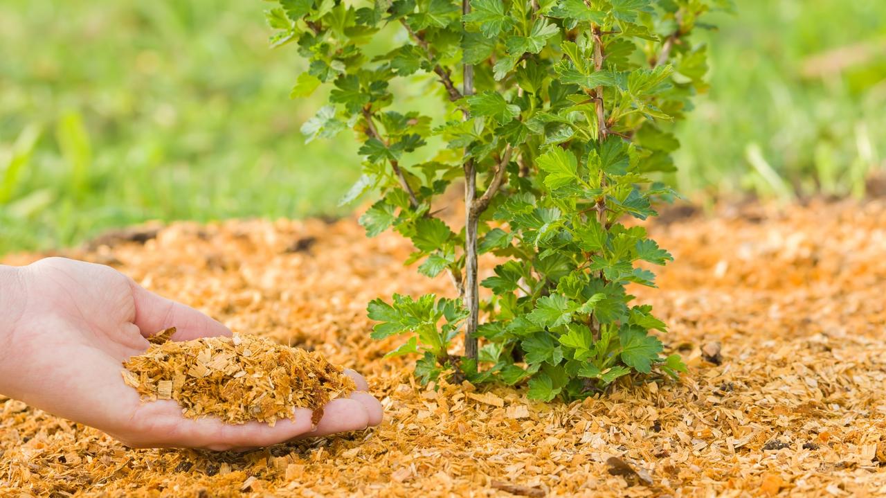 Te odpady mogą pomóc w walce ze skażeniem środowiska