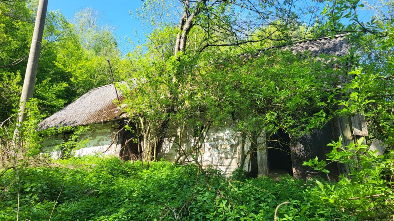 Tajemnica zaginięcia Zygmunta Korfantego. Po informacjach tvn24.pl śledczy wracają do sprawy