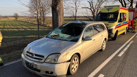 Łępno. Cztery osoby trafiły do szpitala po zderzeniu samochodu z łosiem