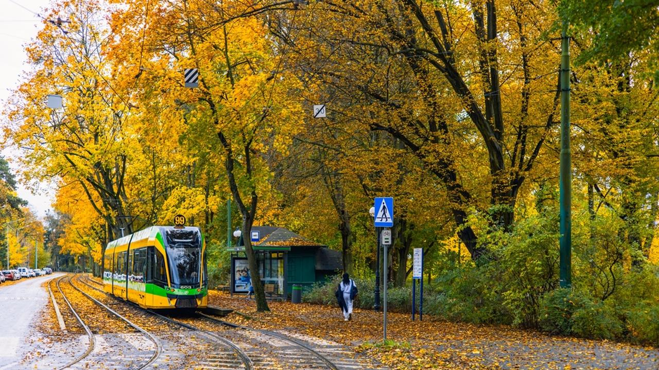 Pogoda na dziś - środa, 19.11. Na termometrach zobaczymy kilka stopni