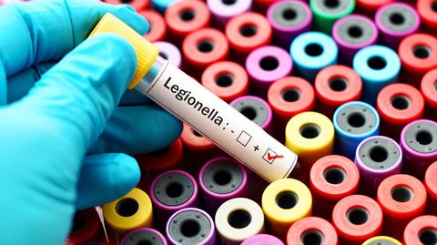 Marzanna Zielińska o warunkach, w jakich namnaża się Legionella pneumophila