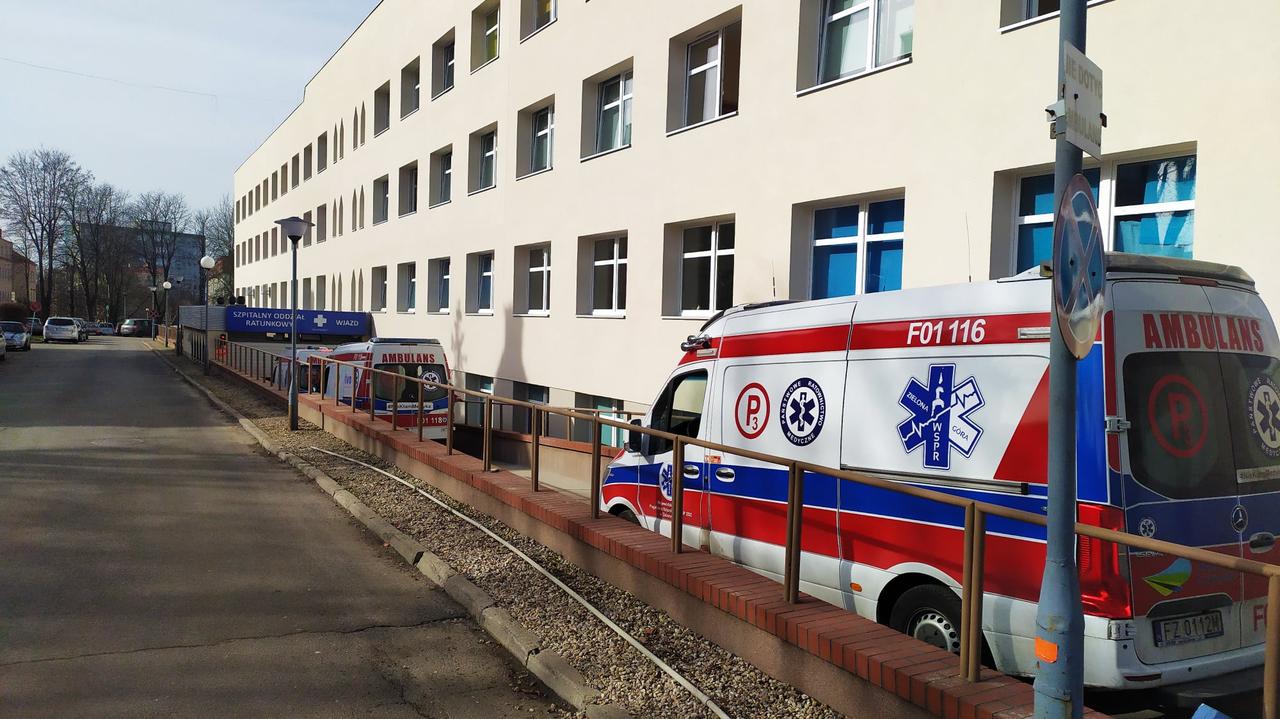 W lesie zaatakowały go psy, mężczyzna zmarł w szpitalu