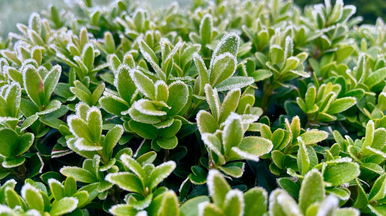 IMGW znów ostrzega. Alarmy w 12 województwach