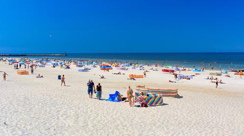 shutterstock_2317798961