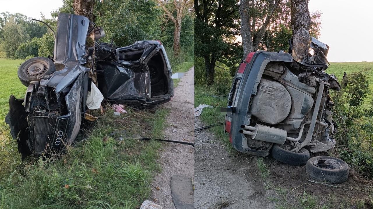 Samochód owinął się wokół drzewa. Nie żyje kierowca