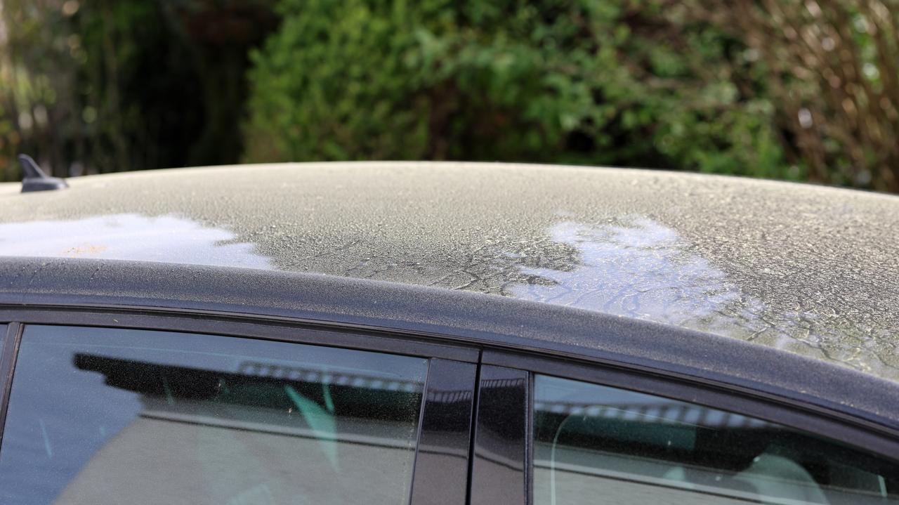 Wietrzne i burzowe dni mogą pogarszać naszą alergię. Dlaczego?