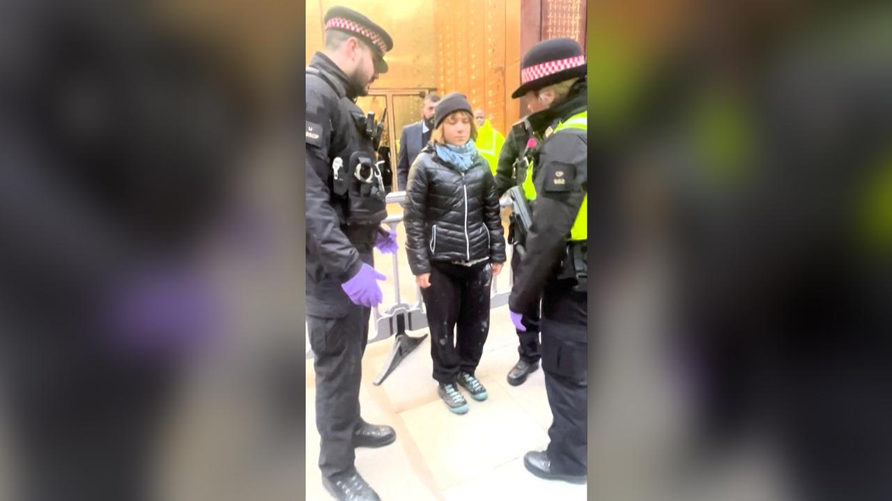 Greta Thunberg zatrzymana. Miała naruszyć ustawę o terroryzmie