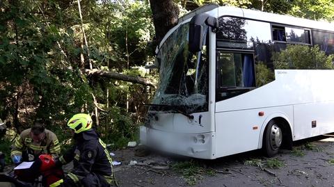 Wypadek w Ogorzelcu. Autobus uderzył w drzewo, wjechał w niego samochód. Lądował śmigłowiec LPR
