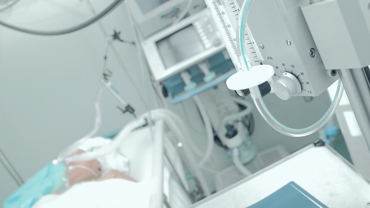 Jeśli nie ma przepływu, mózg nie żyje. "W medycynie wiele nie jest pewne, ale to jest"