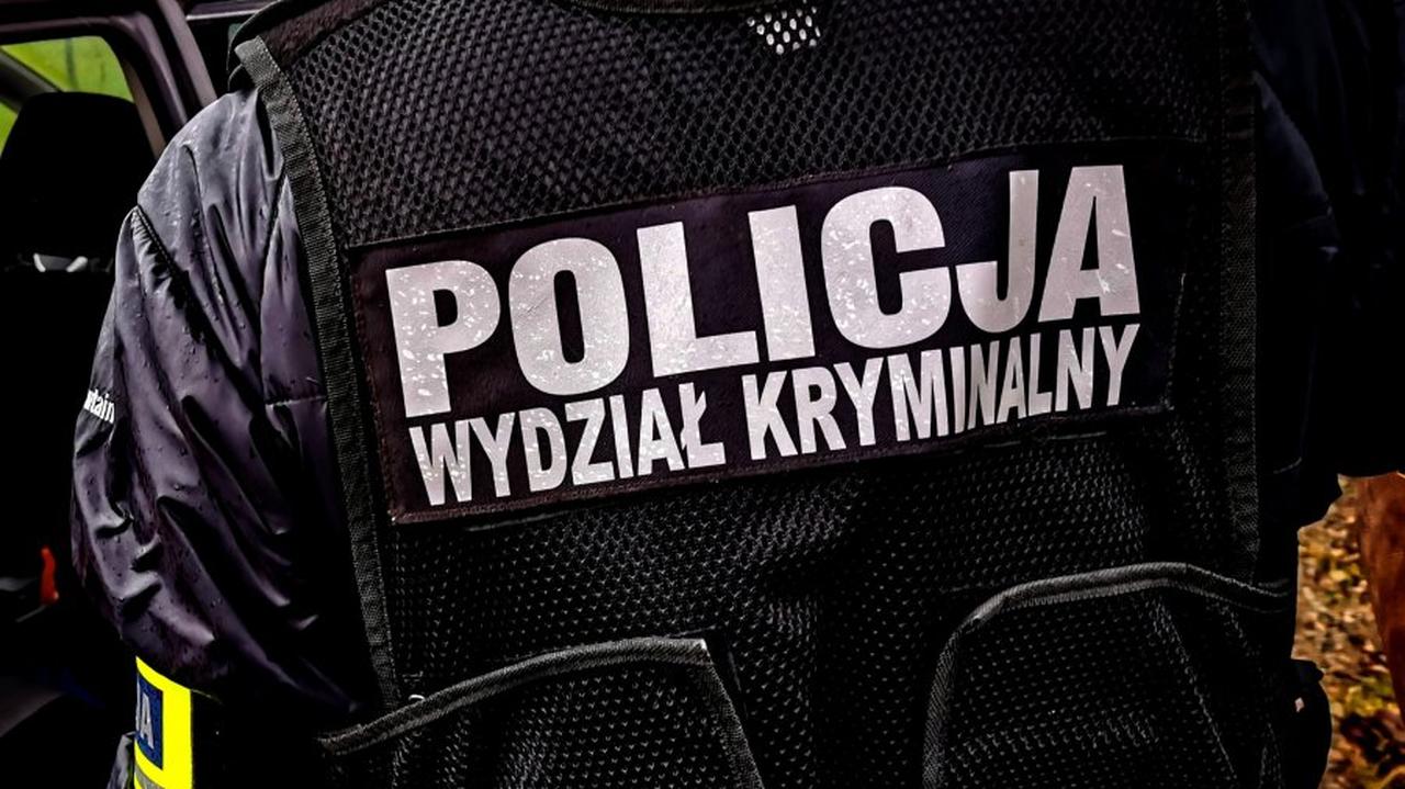 71 zarzutów oszustwa za pluszaki