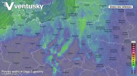 Prognozowane porywy wiatru w najbliższych dniach