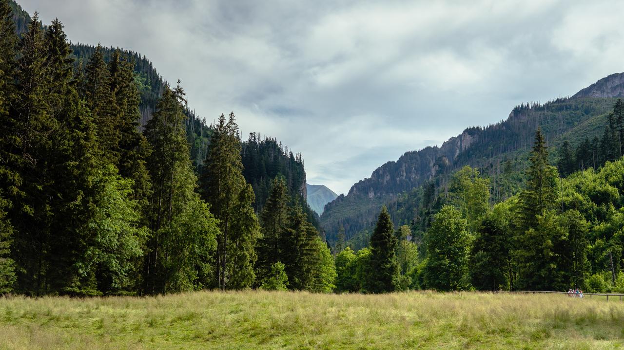 Duża atrakcja polskiej części Tatr ponownie otwarta dla turystów