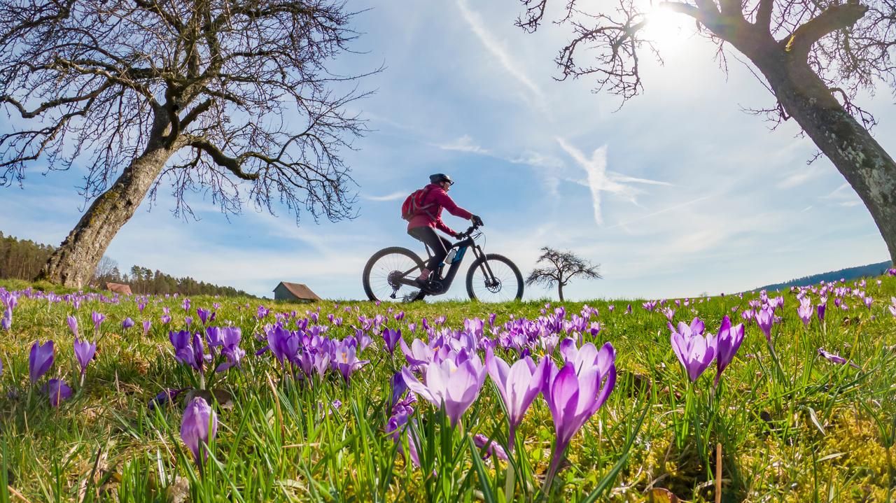 Temperatura wkrótce poszybuje. Jak ciepło się zrobi