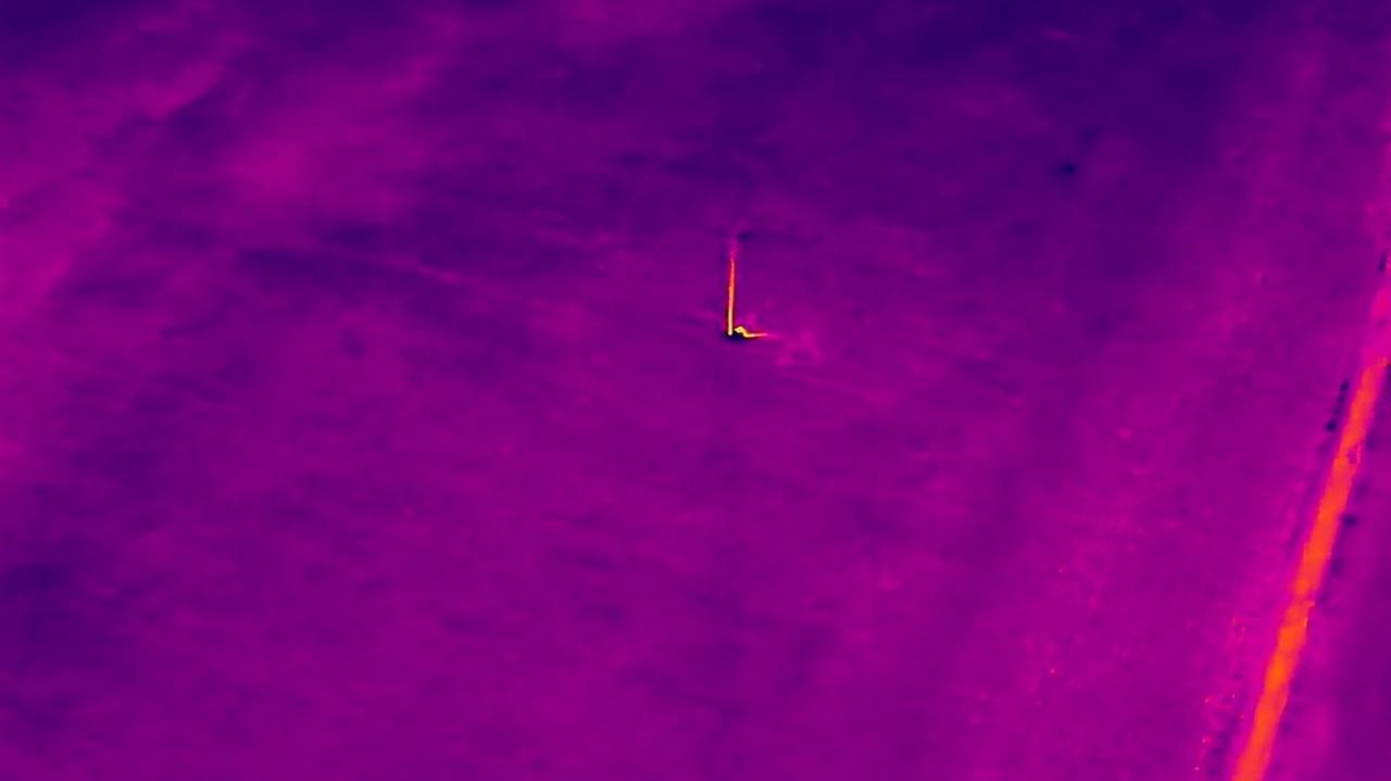 Zaginiony na polu kukurydzy, w poszukiwaniach pomógł dron