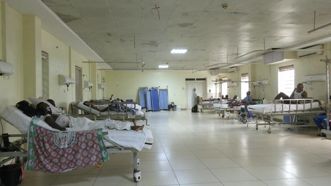 Plaga węży w szpitalach, zginęło kilku lekarzy. Ruszył strajk