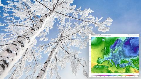 Prognozowana temperatura w najbliższych dniach