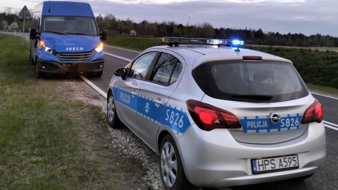 Zderzył się z sarną i wezwał policję. Był pijany