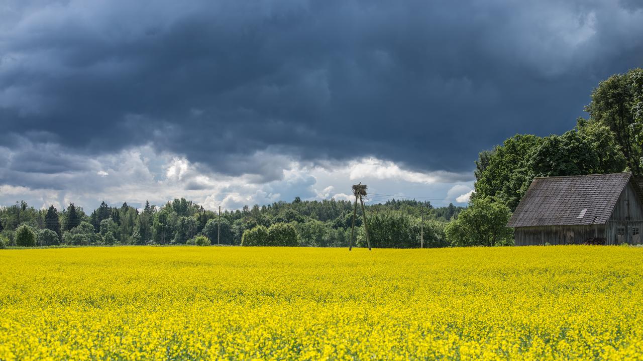 Pogoda na dziś - piątek 2.05. W burzach może spaść grad