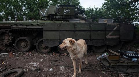 Ukraińscy żołnierze zbierają porzucone rosyjskie pojazdy wojskowe w obwodzie charkowskim. Nagranie archiwalne 