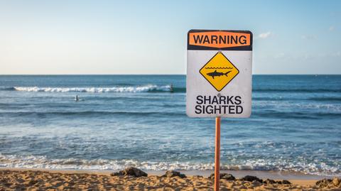 15-letni surfer ugryziony przez rekina na nowojorskiej plaży Kismet Beach 